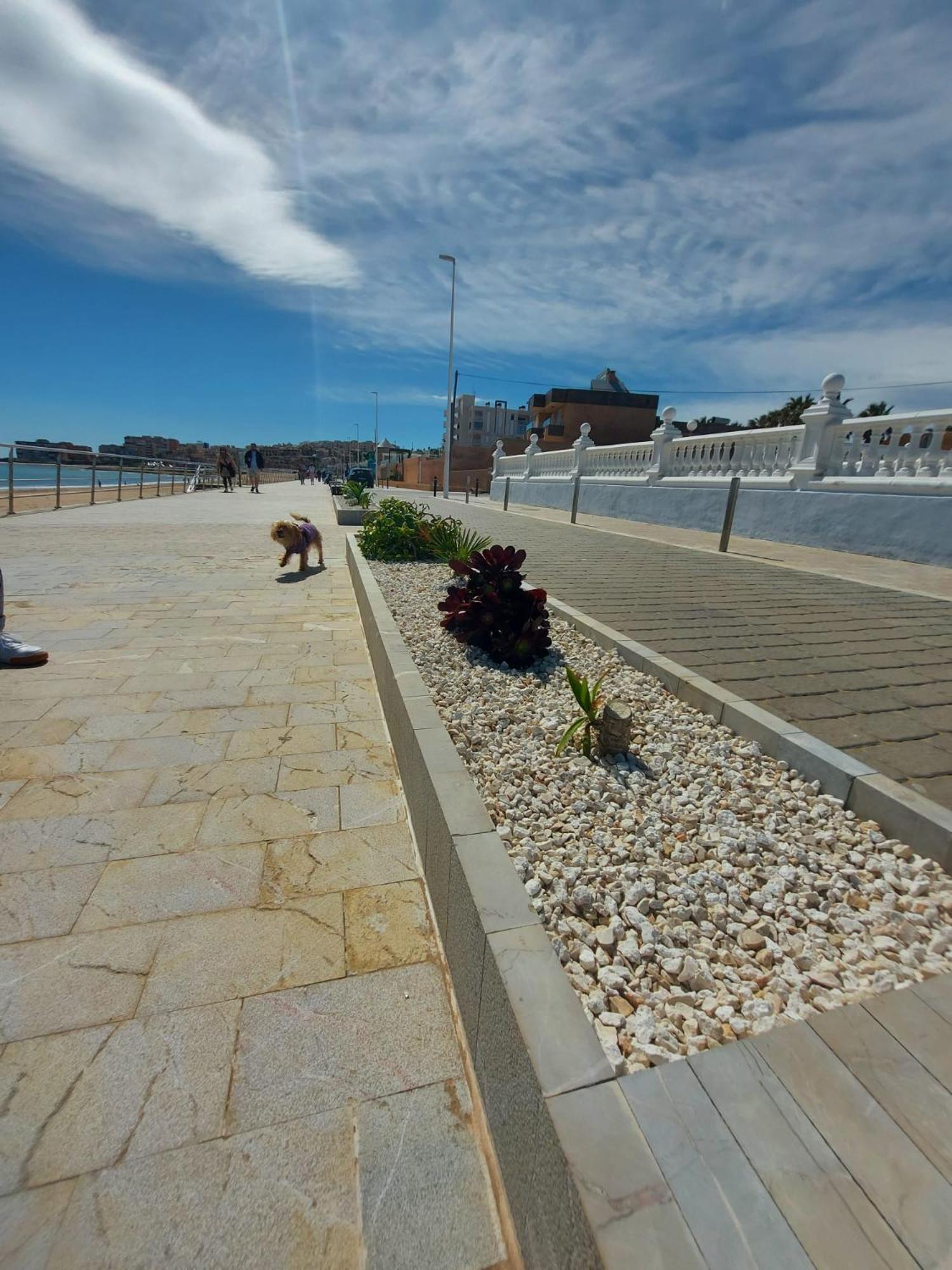 Maravillosa Terraza Con Vistas Al Mar, La Mata Torrevieja Exterior foto