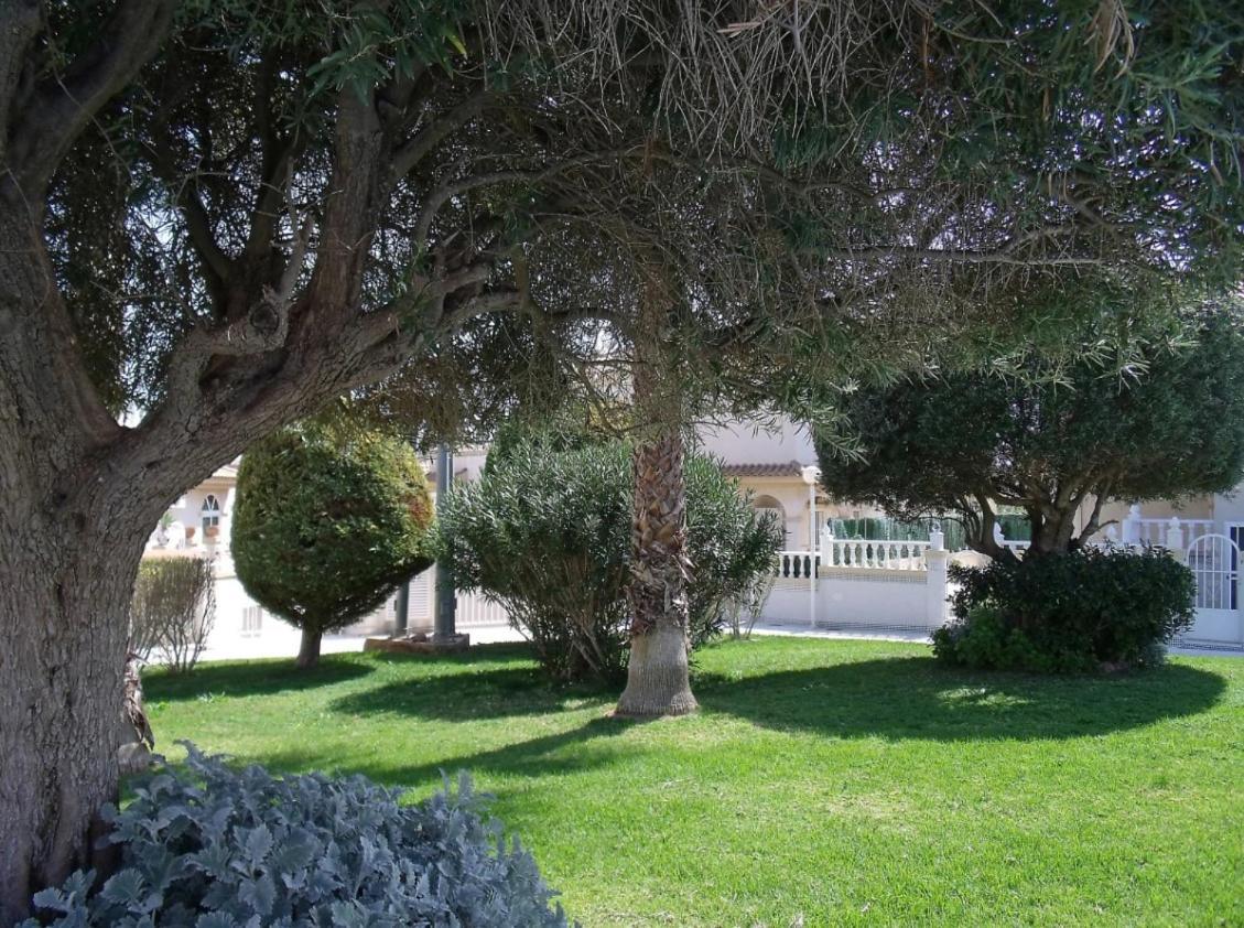 Maravillosa Terraza Con Vistas Al Mar, La Mata Torrevieja Exterior foto